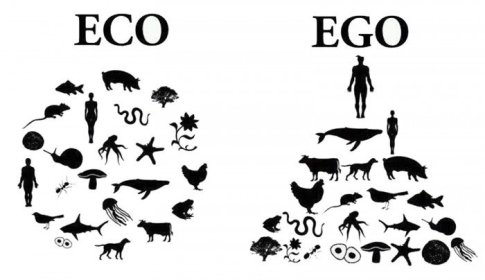 eco vs ego